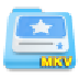 MKV视频格式转换工具