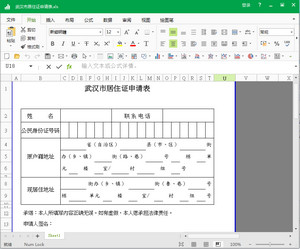武汉市居住证申请表xls 2018 电子版软件截图