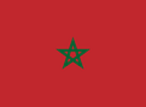 摩洛哥签证申请表样表doc 2018软件截图