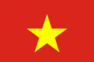 越南签证申请表填写样本 加急版软件截图