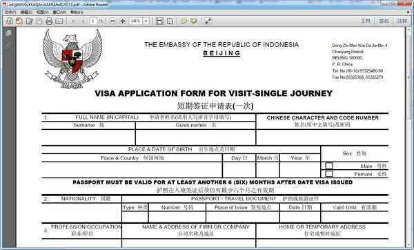印尼签证申请表格pdf