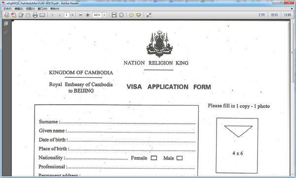 柬埔寨签证申请表格pdf 2018 电子打印版