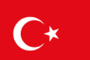 土耳其工作签证申请表样板 打印版软件截图