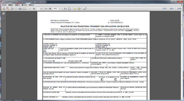 阿根廷签证申请表填写样本 2018 双面打印版