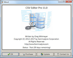 C读取CSV文件 CSV Editor Pro 汉化版 11.0 破解版软件截图