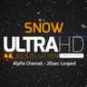 视频素材:冬天下雪场景雪花飘落循环动画 4K带通道