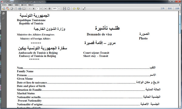 突尼斯签证申请表格模板pdf 2018 打印版