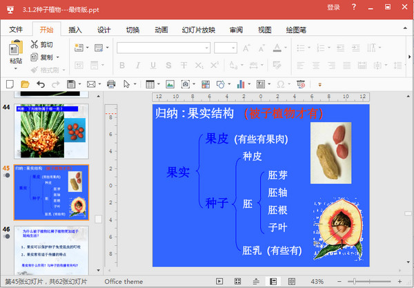 生物人教版种子植物PPT课件