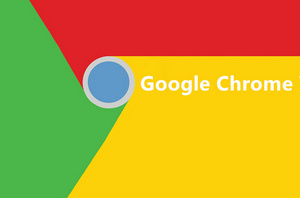 Google Chrome Dev 64位 73.0.3673.0 最新版软件截图