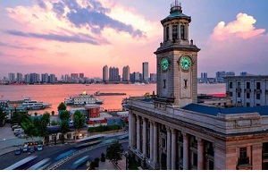 武汉市基本养老保险关系转移接续申请表 2018软件截图