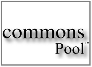 Apache Commons Pool 2.5.0