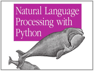 PYTHON自然语言处理中文版 完整版软件截图