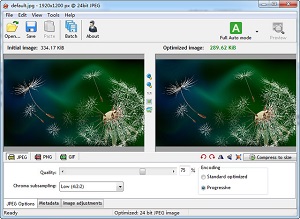 图像优化压缩工具 RIOT 0.6.0 绿色版软件截图