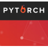 Pytorch API