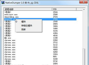 NativeDumper进程转储文件 1.0 绿色版软件截图