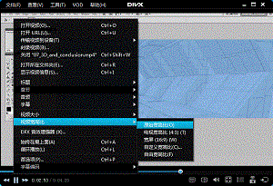 Divx 解码器绿色版 10.8.6 特别版软件截图