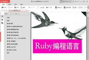 ruby编程语言pdf 完整版软件截图