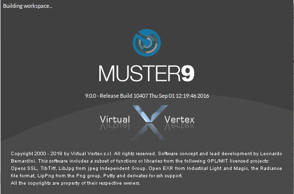 Virtual Vertex Muster 9