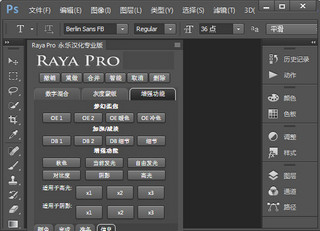 Raya Pro 3.0汉化版 中文版软件截图