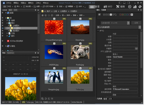 ACDSee 旗舰版 64位汉化版 11.2 注册版