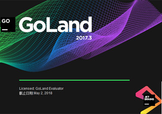 JetBrains GoLand 2017 2017.3.3 第七下载独家汉化版软件截图