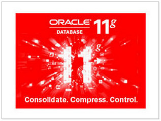 Oracle Database 11g r2 11.2.0.1.0软件截图