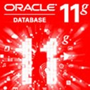 Oracle Database 11g r2 11.2.0.1.0