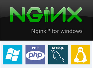 Nginx正式版 1.17.6软件截图