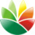 EximiousSoft Logo Designer绿色版 3.88 中文版