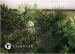 Laubwerk Plants Kit 1破解版 1.08 免费版软件截图