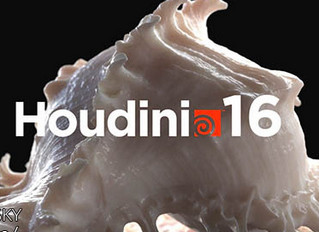 Houdini 16.5.439 免费版软件截图
