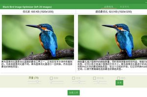 Black Bird Image Optimizer Pro 1.0.3.1 汉化版软件截图