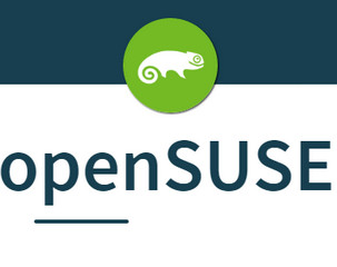 openSUSE入门教程PDF软件截图