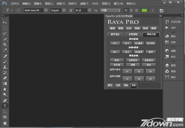 Raya Pro For PSCC2017汉化版