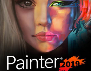 Painter 2019 64位中文破解版 19.0.0 最新版软件截图