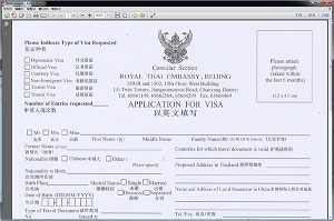 泰国养老签证申请表PDF软件截图