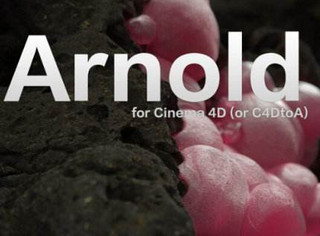 Arnold for Cinema 4D R19破解版 2.3.1.3软件截图