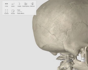 3D人体解剖学电脑软件3D Organon Anatomy 3.0.0 免费版