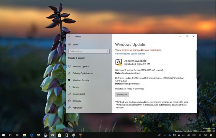 Windows 10 RS5 Build 17738 32-bit