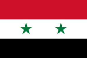叙利亚签证申请表PDF 2018软件截图