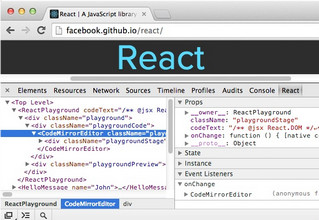 React Developer Tools 谷歌插件 0.13.0软件截图