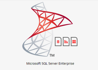 SQL Server 2005 Enterprise 1.0 中文版软件截图