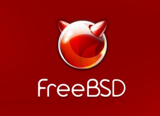 FreeBSD 12.0 32位 正式版软件截图