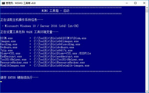 MSMG Toolkit 8 8.8 中文版