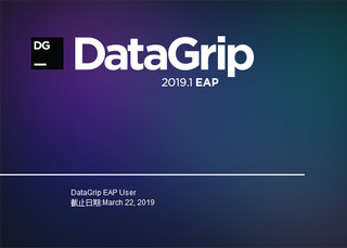JetBrains DataGrip 2019 2019.1.4 第七独家汉化软件截图