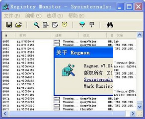 RegMon绿色免安装版 7.04软件截图