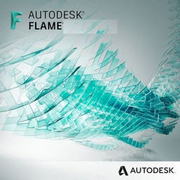 Autodesk Flame 2020 Mac 中文版软件截图
