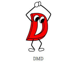 D语言DMD for openSUSE 2.086.0软件截图