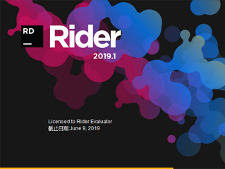 JetBrains Rider 2019汉化补丁 2019.1.2 第七独家汉化版软件截图