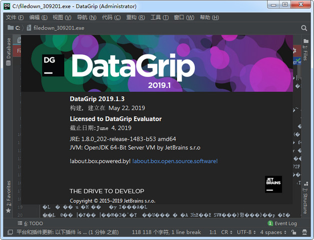 JetBrains DataGrip2019汉化包 2019.1.4 第七独家汉化版